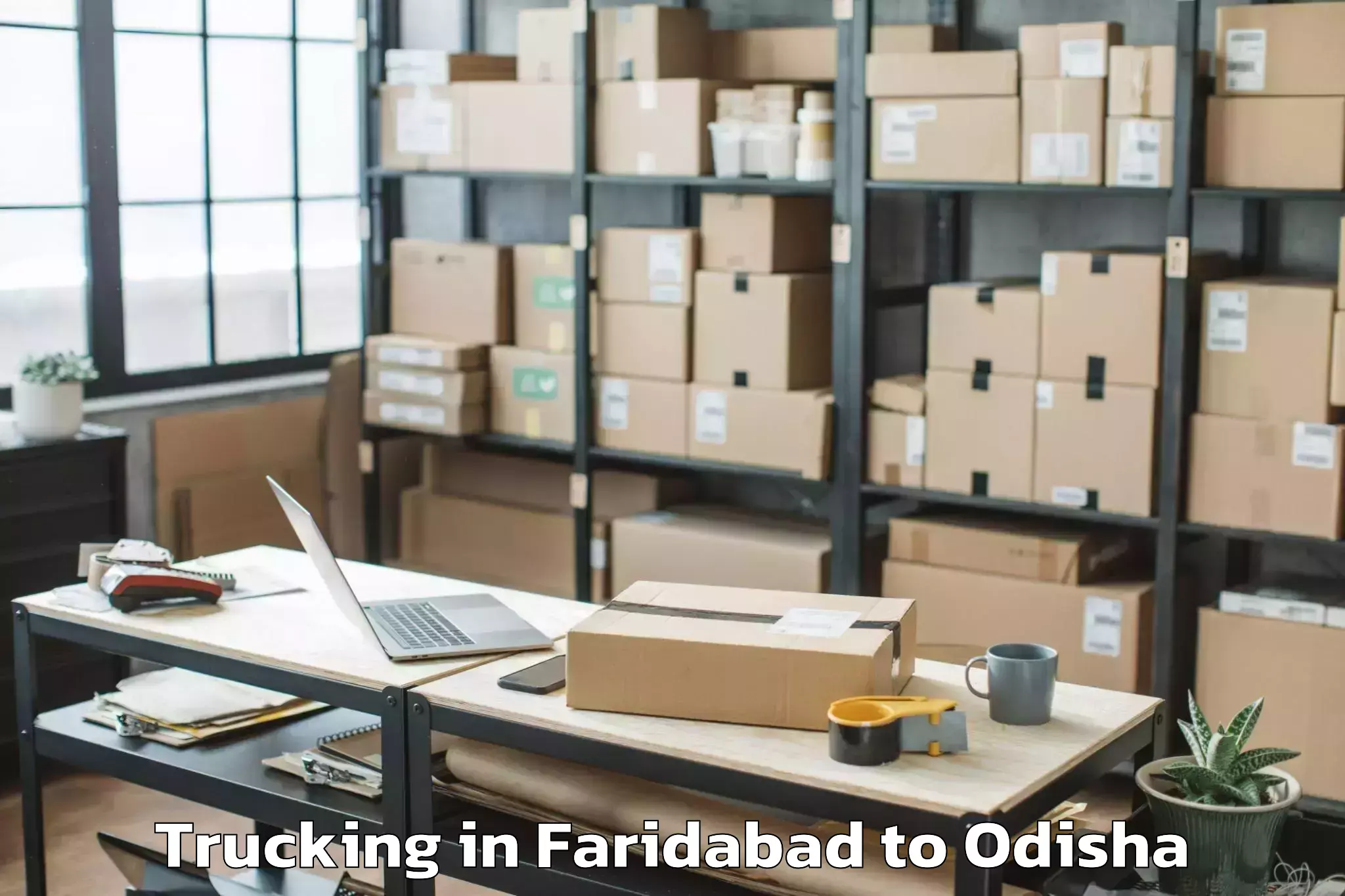 Book Faridabad to Tigiria Trucking Online